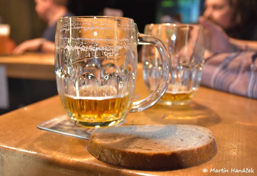 Visací zámek a Znouzectnost rozdováděli plzeňskou Šeříkovku