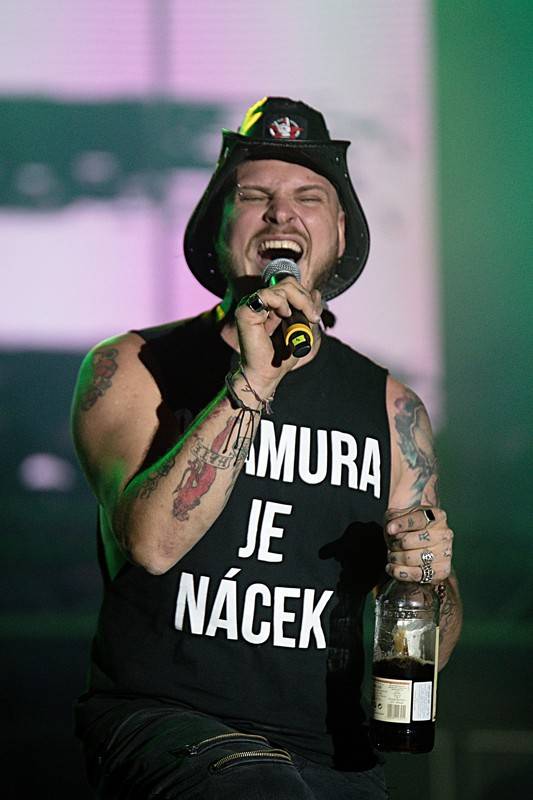 Vrcholy Majálesu obstarali Tomáš Klus, Mandrage a na závěr Rybičky 48