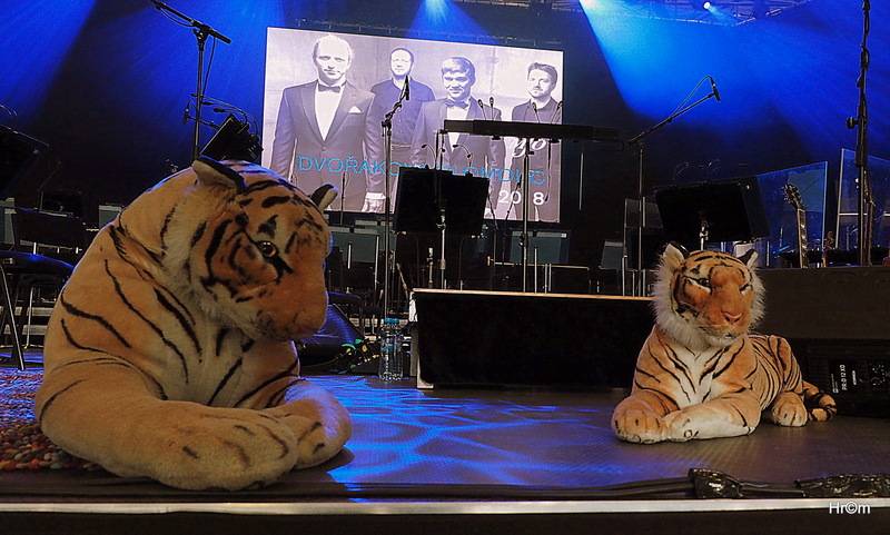 Tomáš Klus v Olomouci obul boty a nasadil motýlka, poté zahrál s filharmonií