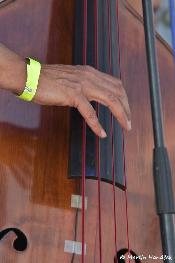 Radovan fest podruhé: Ve Vochově u Plzně zahráli Plexis, Gauneři nebo Queens Of Everything