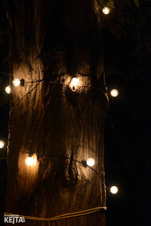 Rude Boy Paradise aneb The Chancers naposled na pódiu