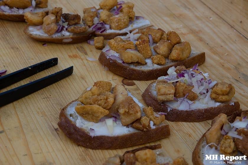 Plzeň žila pivem a hudbou. Na Pilsner festu vystoupili Barbora Poláková, Žlutý pes, Anna K. nebo Pipes and Pints