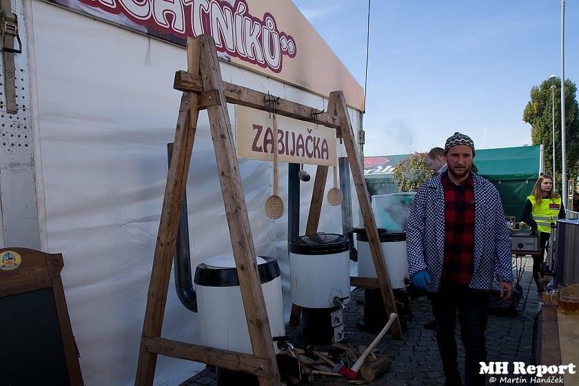 Plzeň žila pivem a hudbou. Na Pilsner festu vystoupili Barbora Poláková, Žlutý pes, Anna K. nebo Pipes and Pints