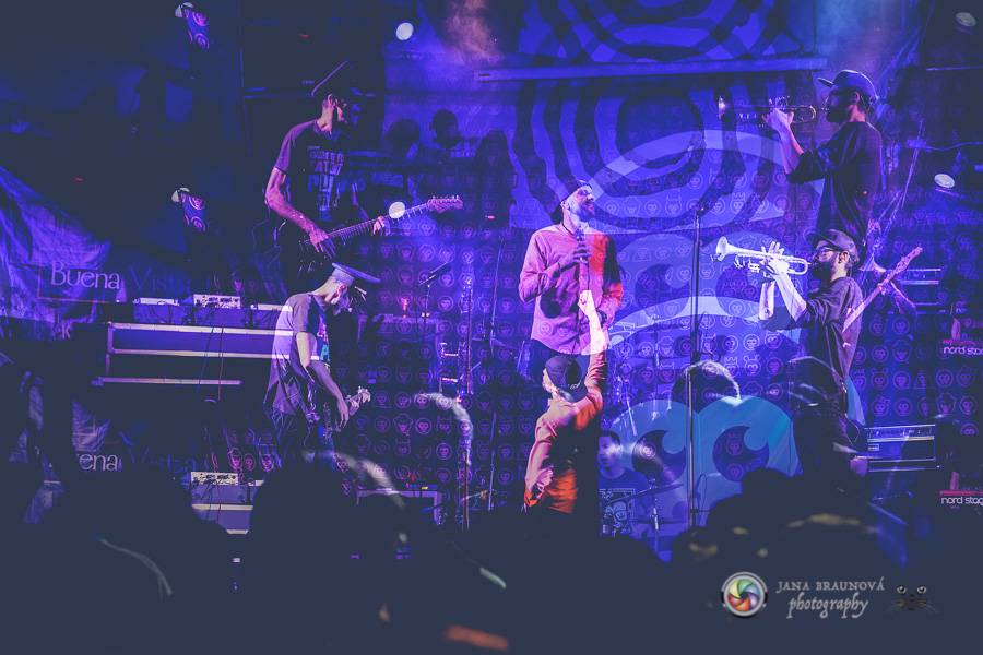 Fast Food Orchestra rozjeli v plzeňské Buena Vistě veselý taneční večírek