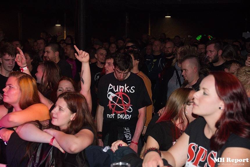 Pogo Tour v Plzni: SPS a E!E předvedli punkový koncert se vším všudy - i s vypnutým proudem