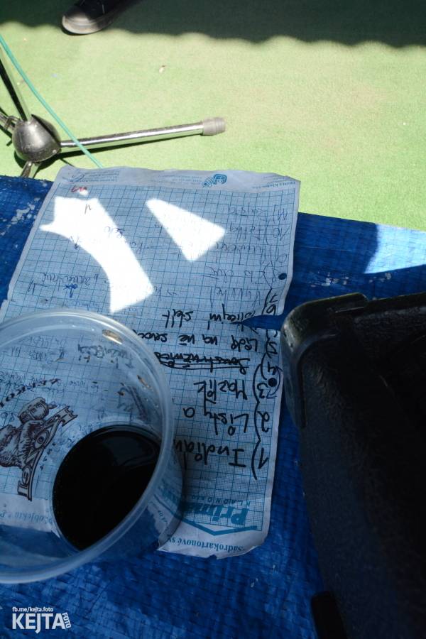 Punkový Číro Fest: Přehlídka barevných vlasů pokračovala i druhý den. Hráli Plexis nebo S-T-K