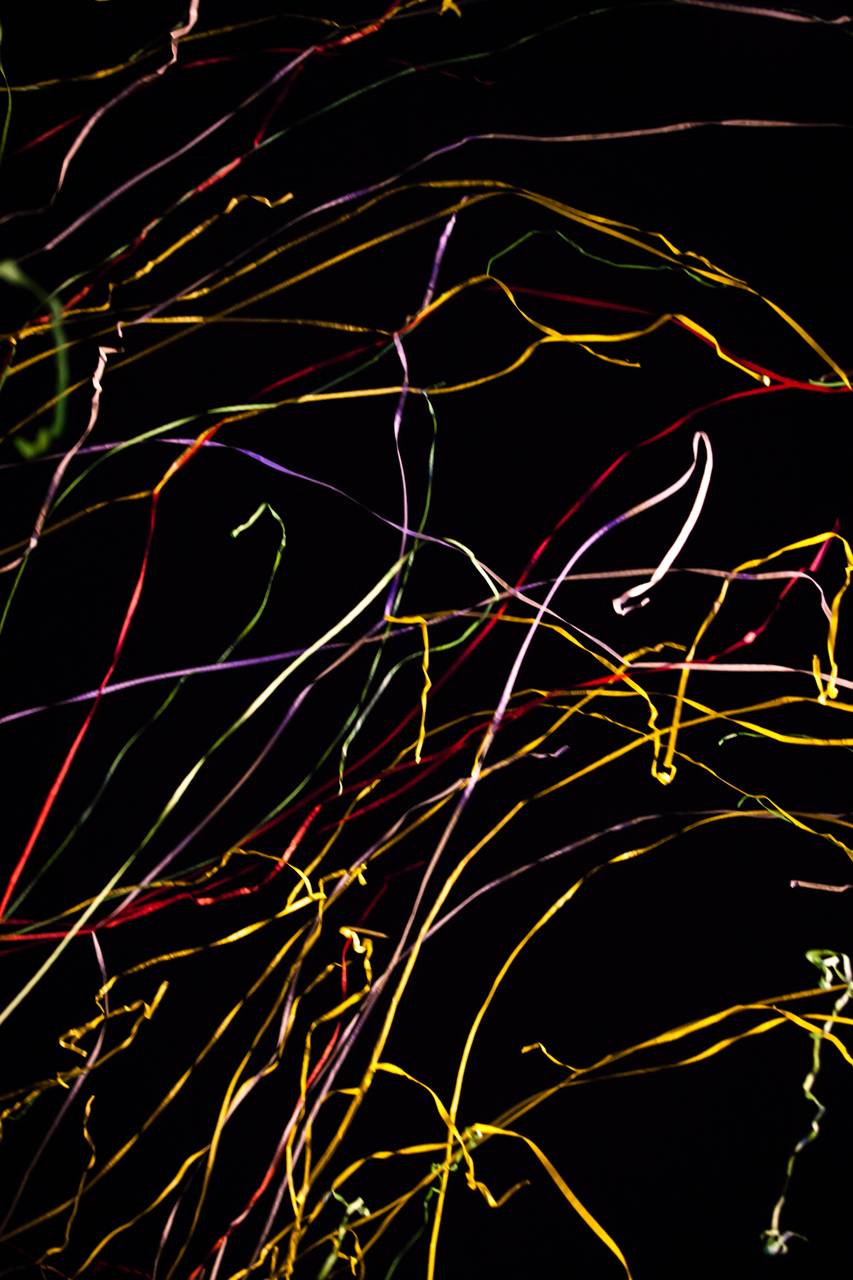 Plzeňský Majáles zlobily rozmary počasí, Kryštof přivezl malý Strahov, zahráli i Mirai nebo Marek Ztracený