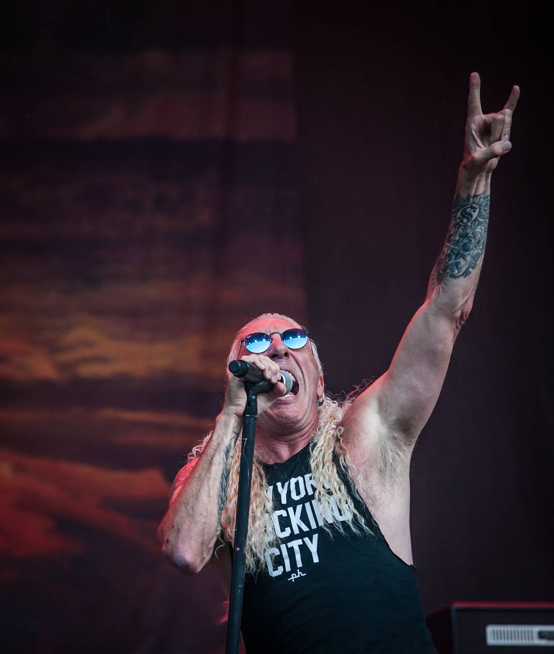 Další pohled na poslední den Metalfestu. Dee Snider připomněl Twisted Sister, vrcholem byli Arch Enemy
