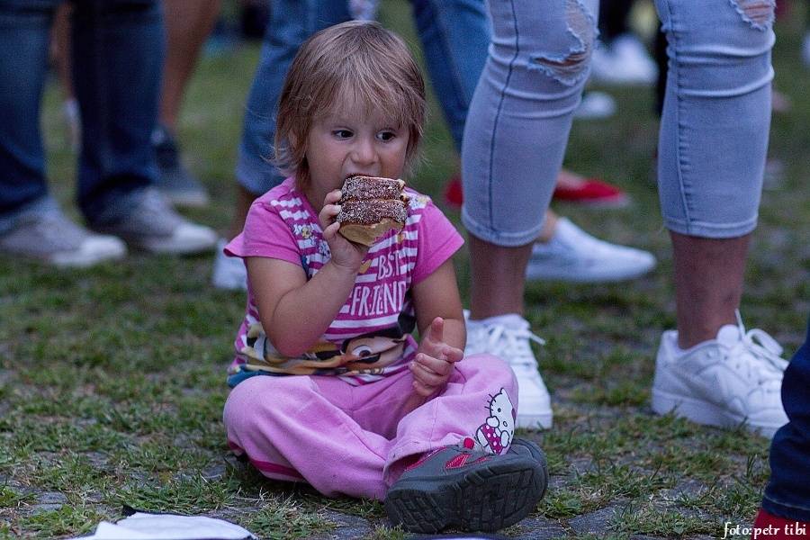 Létofest v Českých Budějovicích odstartoval s Monkey Business, Mig 21, Pražským výběrem nebo Mandrage
