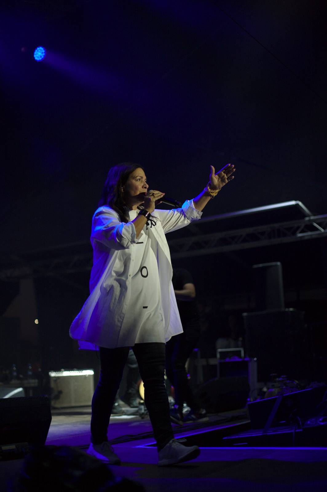 Hrady CZ na Švihově: V pátek vystoupili Anna K. i Michal Hrůza, Rybičky 48 zapálili ohně a Mydy Rabycad ukázali energii