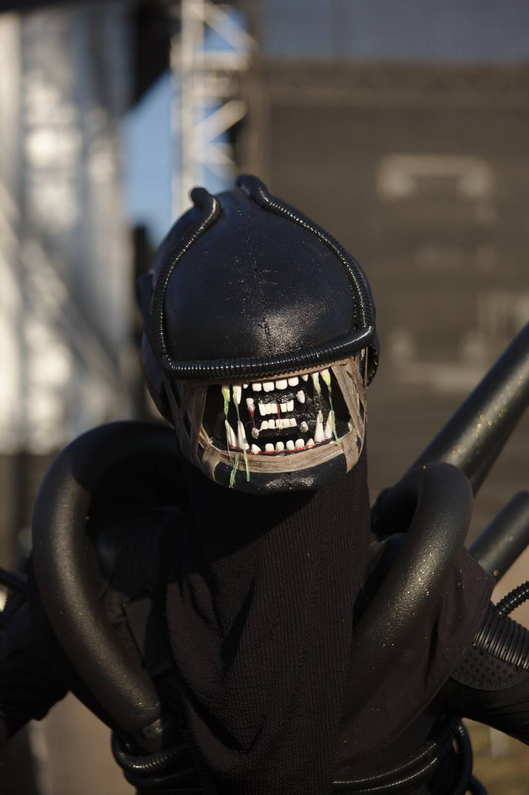 Hrady CZ na Švihově: V pátek vystoupili Anna K. i Michal Hrůza, Rybičky 48 zapálili ohně a Mydy Rabycad ukázali energii