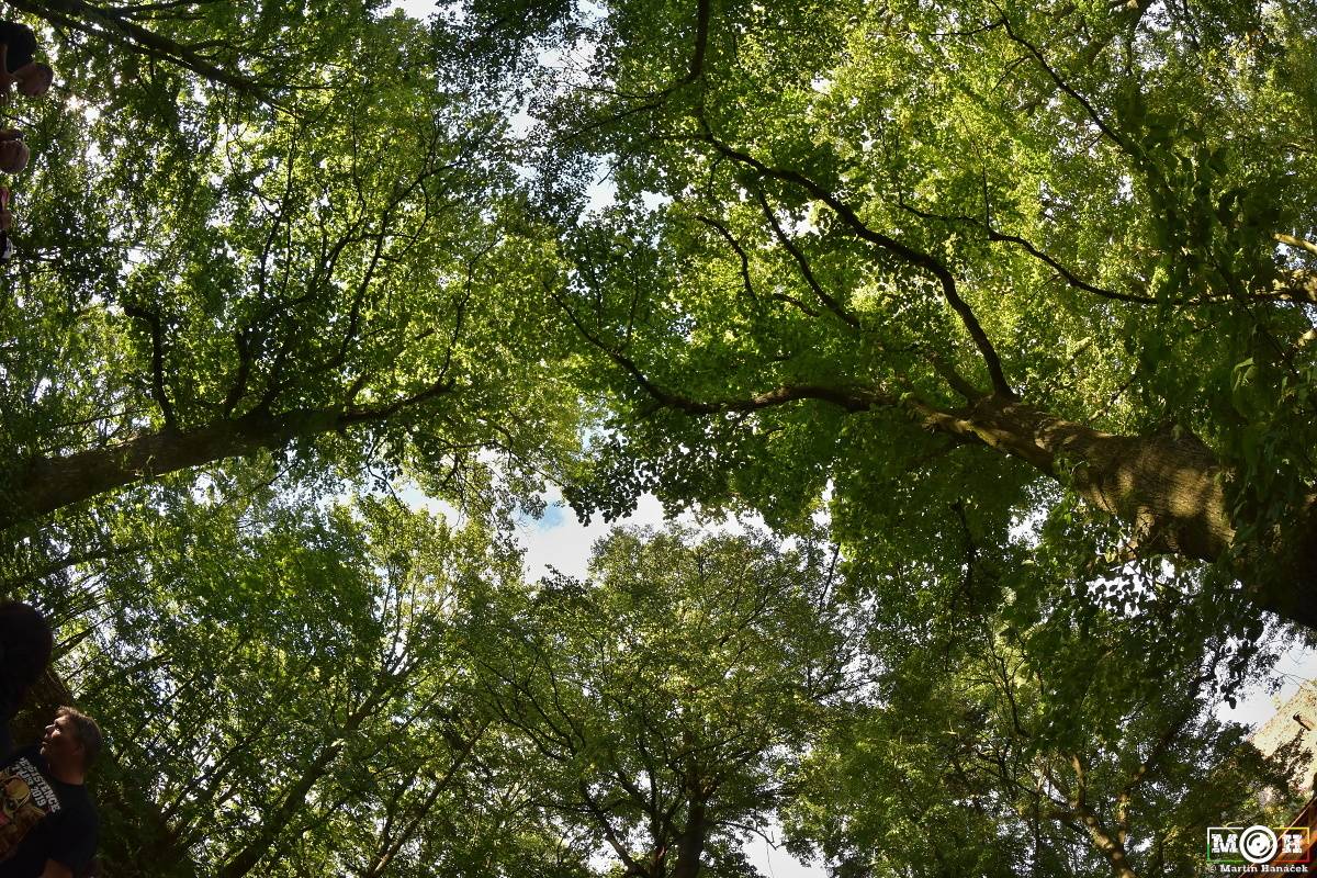 Prasofest č. 7 přivezl pod hrad Vlčtejn Viléma Čoka, Hentai Corporation, Muchu i Totální nasazení