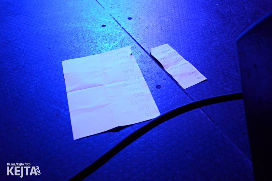 Pogo, punk a rock'n'roll: The Fialky a N.V.Ú. ve Vagonu