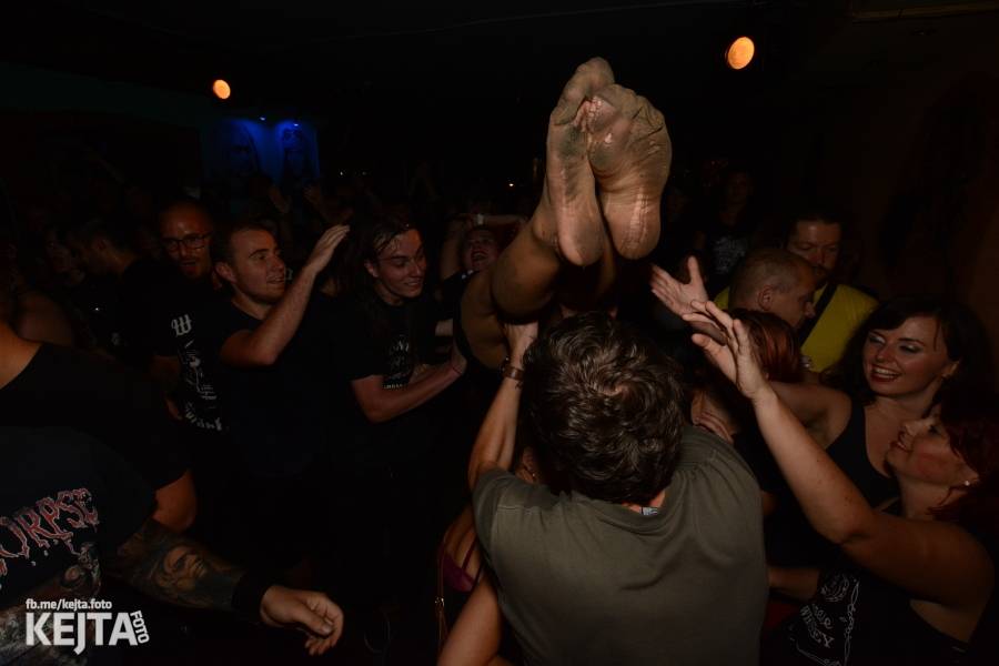 Pogo, punk a rock'n'roll: The Fialky a N.V.Ú. ve Vagonu