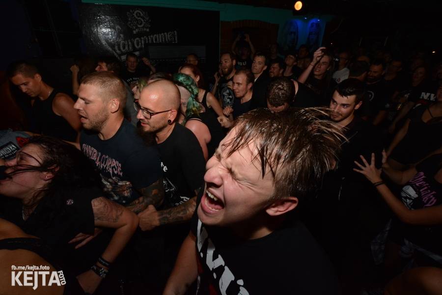 Pogo, punk a rock'n'roll: The Fialky a N.V.Ú. ve Vagonu