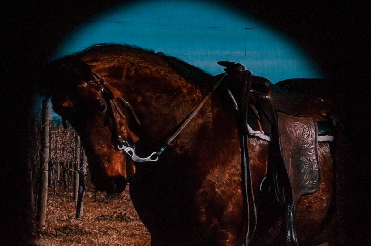 Eros Ramazzotti rozezněl O2 arenu velkými hity i úplnými novinkami