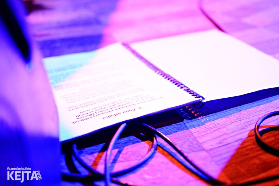 Punkoví matadoři Plexis oslavili 35 let fungování