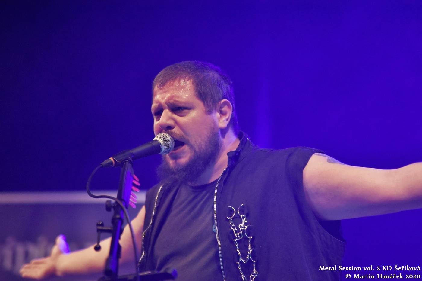 Metalový večírek v Plzni: KD Šeříková opanovali Debustrol, Fata Morgana, Maelström a Avidity For