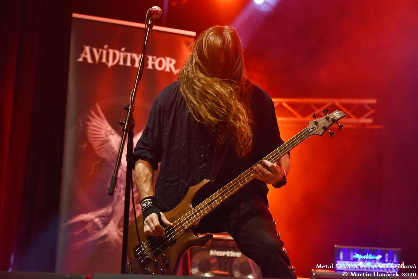 Metalový večírek v Plzni: KD Šeříková opanovali Debustrol, Fata Morgana, Maelström a Avidity For