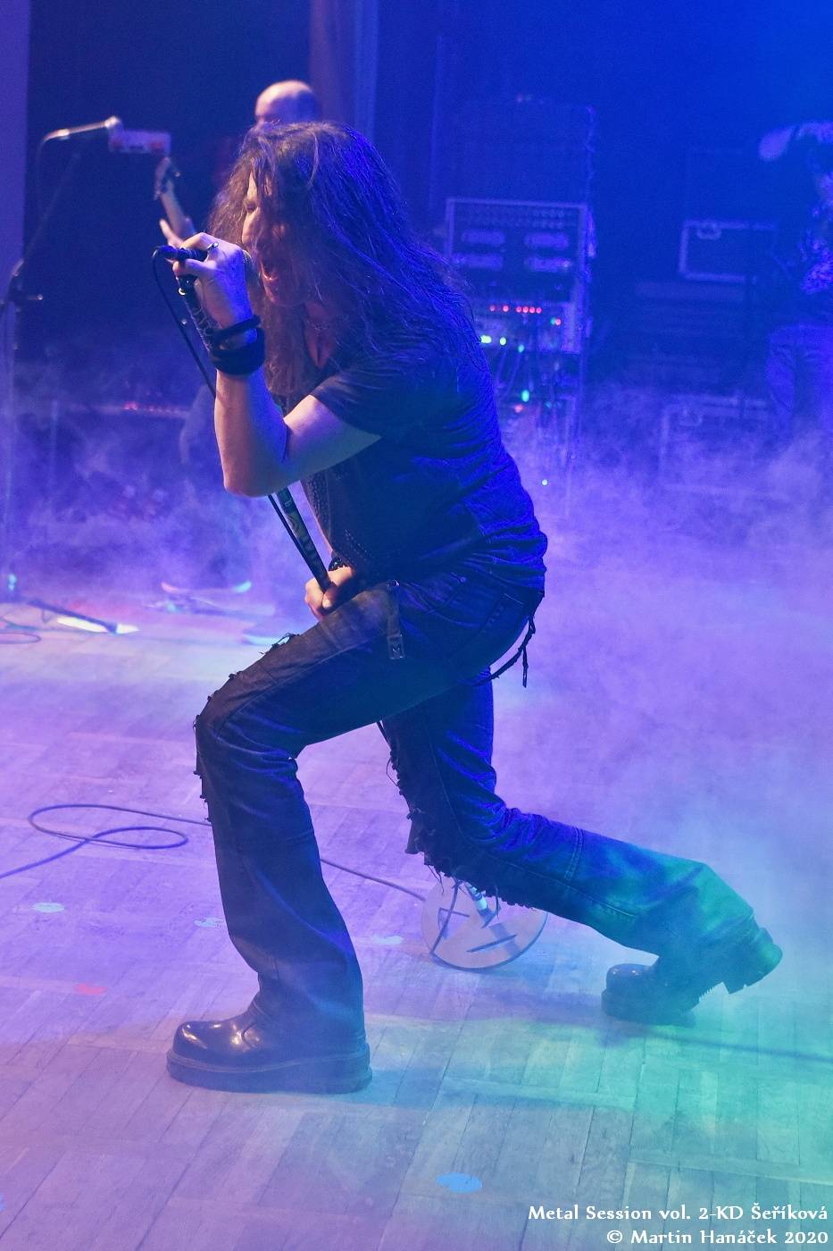 Metalový večírek v Plzni: KD Šeříková opanovali Debustrol, Fata Morgana, Maelström a Avidity For