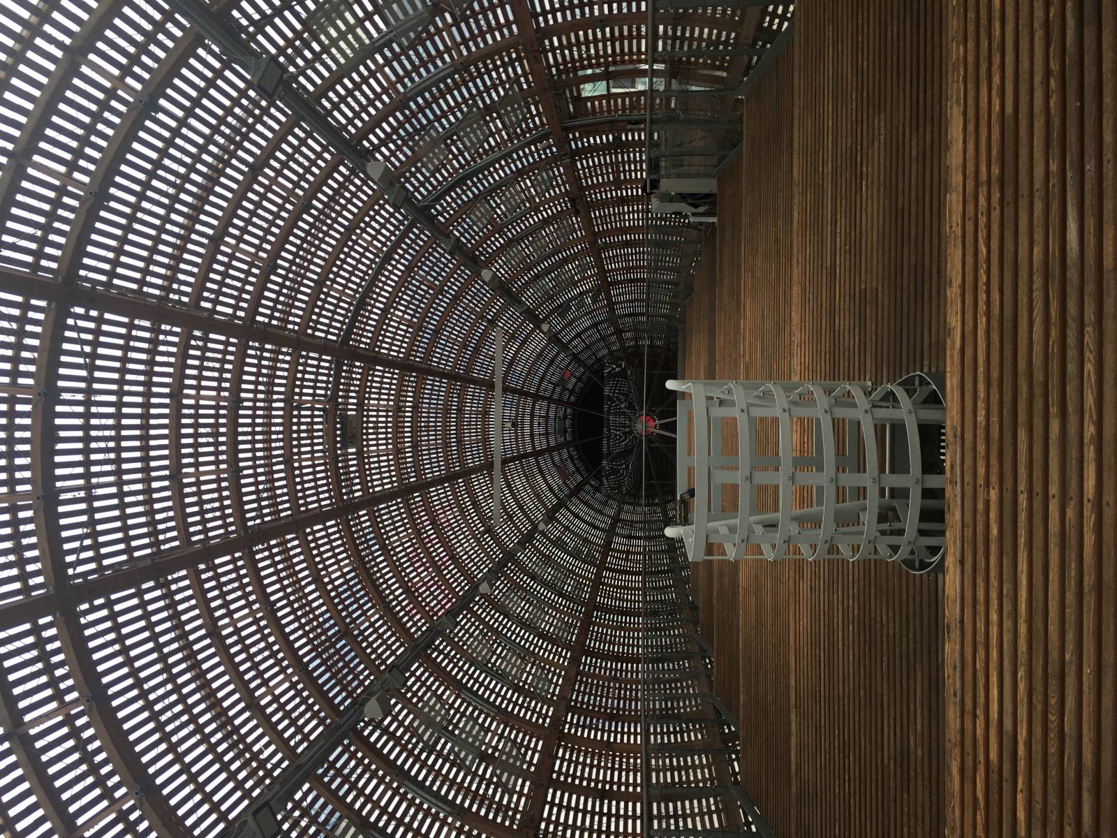 DOX - TATA BOJS 30JS