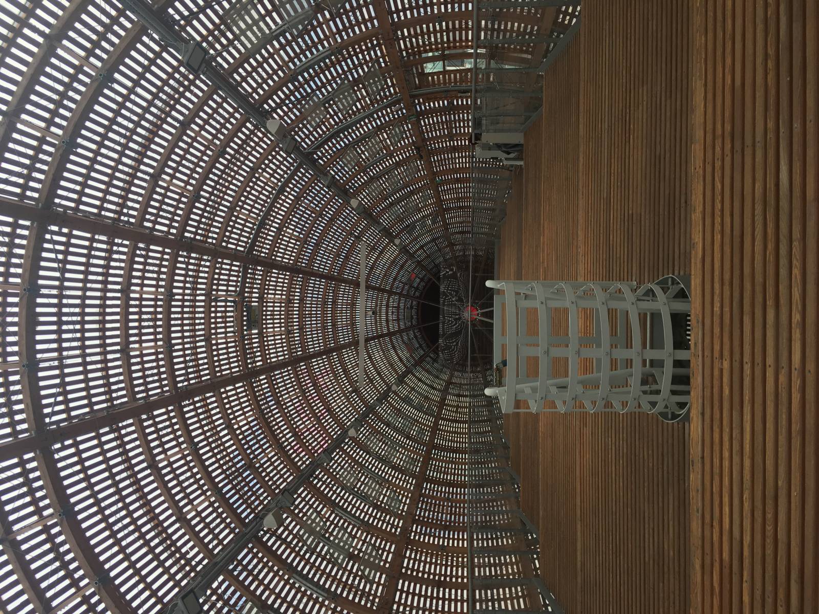 DOX - TATA BOJS 30JS