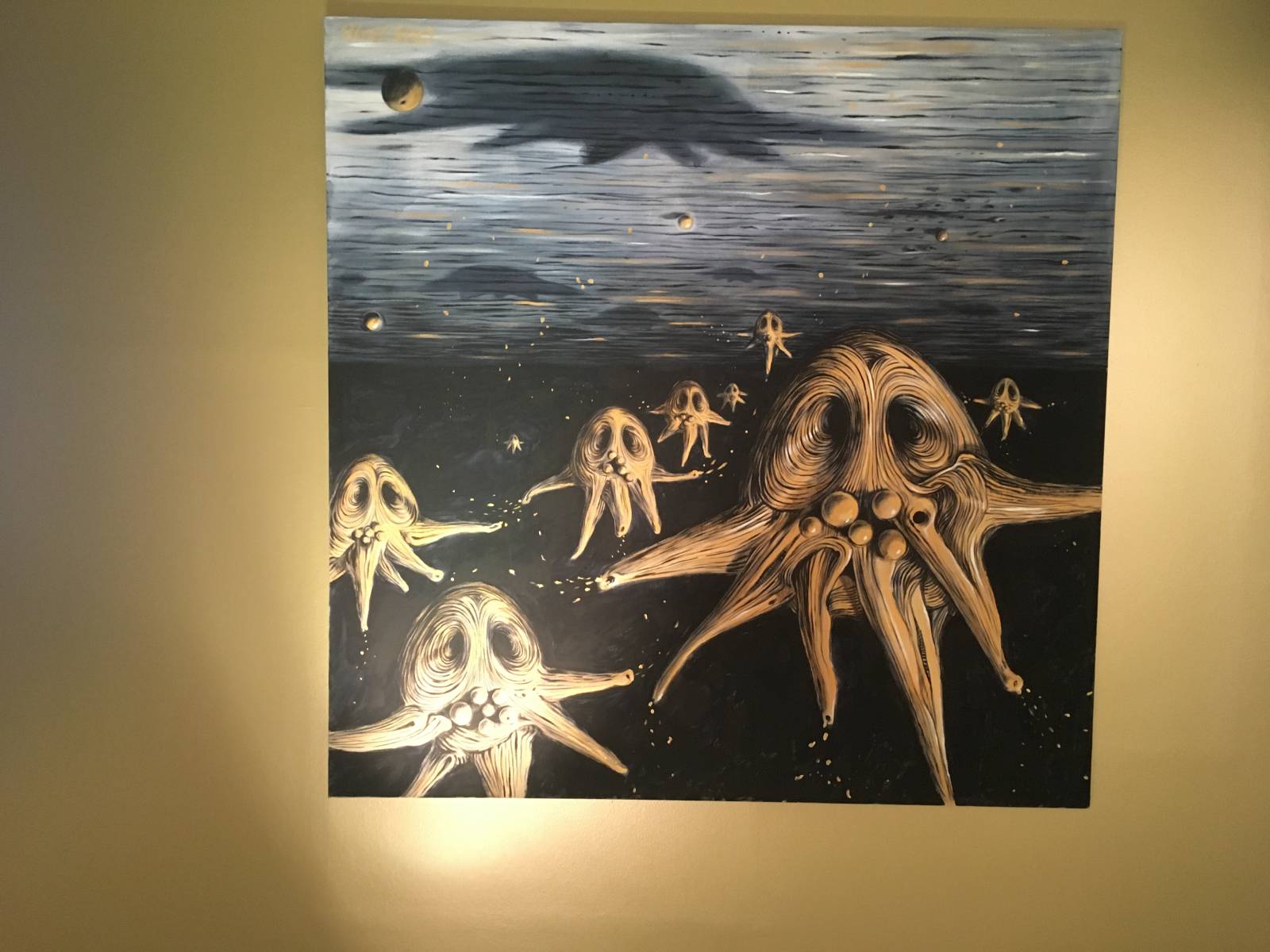 DOX - TATA BOJS 30JS