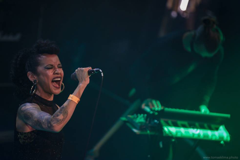 Děkujeme! Čeští hudebníci hráli pro vědce na festivalu, který se vysílal po celém světě