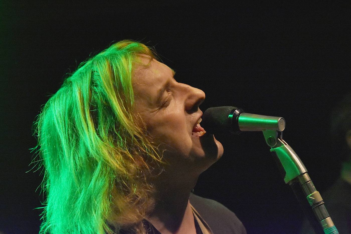 Když se ještě mohlo ven | Koncerty jedou, vzpomínkový seriál končí výběrem českých umělců