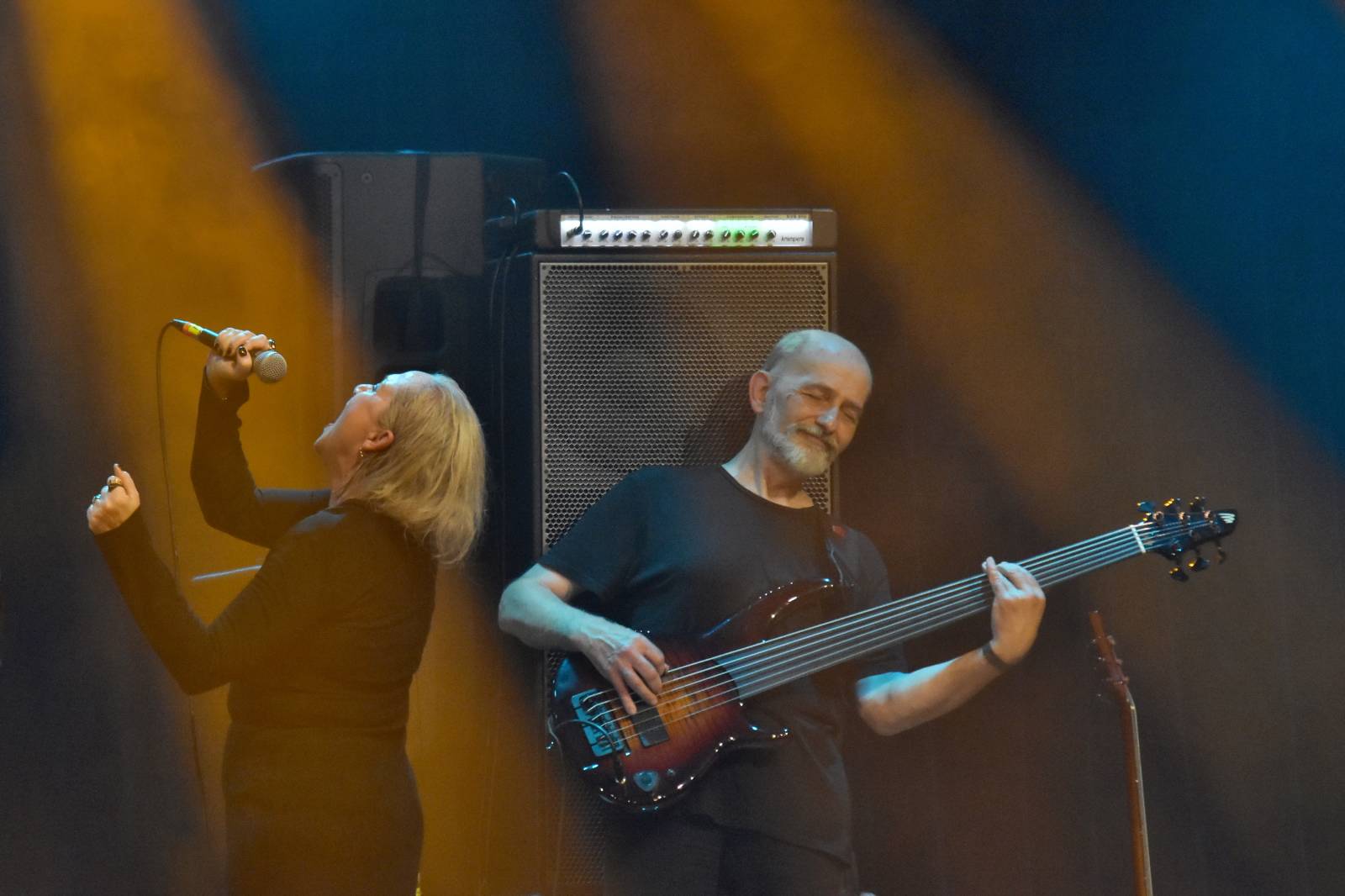 Když se ještě mohlo ven | Koncerty jedou, vzpomínkový seriál končí výběrem českých umělců