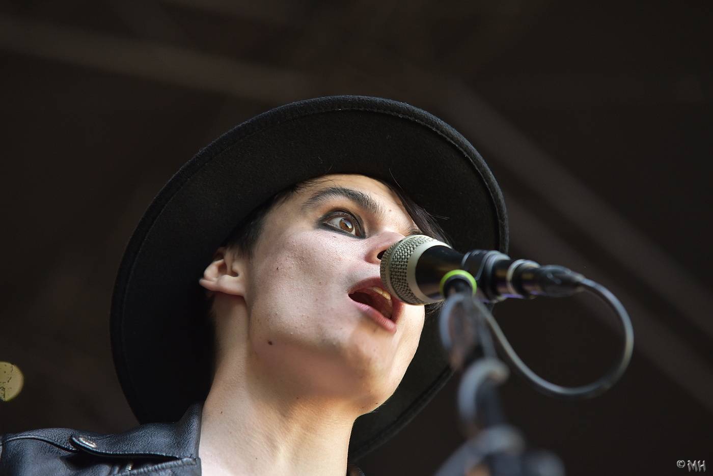 V Manětíně se toho nebáli. Zahráli Harlej, Doga, Debustrol a mnozí další 