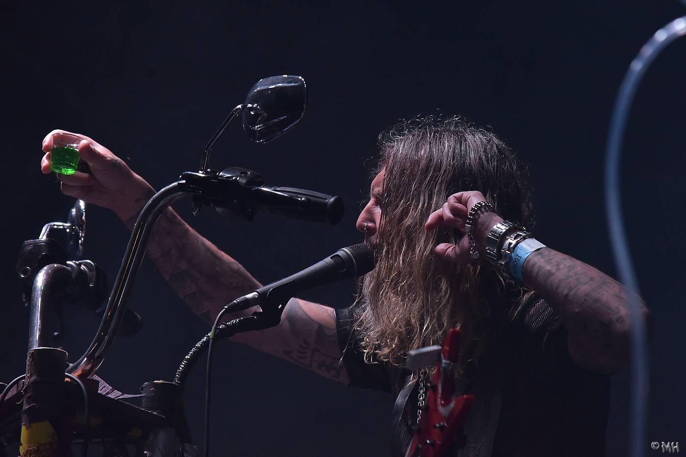 V Manětíně se toho nebáli. Zahráli Harlej, Doga, Debustrol a mnozí další 