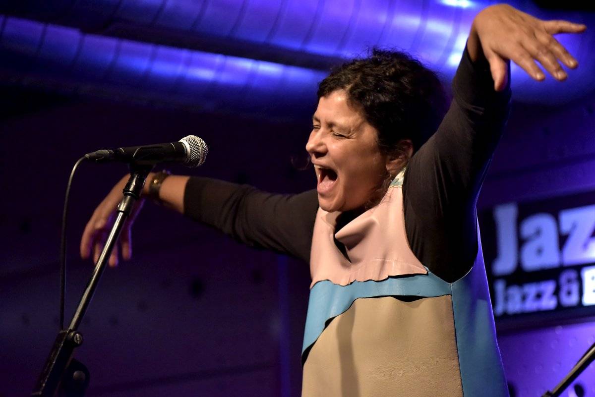 Dvě legendy na jednom pódiu. Iva Bittová a Dunaj zahráli v Jazz Docku