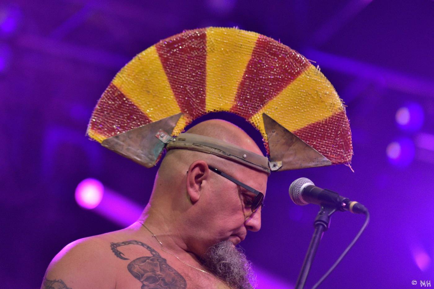 Divným rokem okem fotografů | Uriah Heep, Rammstein Tribute i narozeniny Harlej stihl nafotit Martin Hanáček