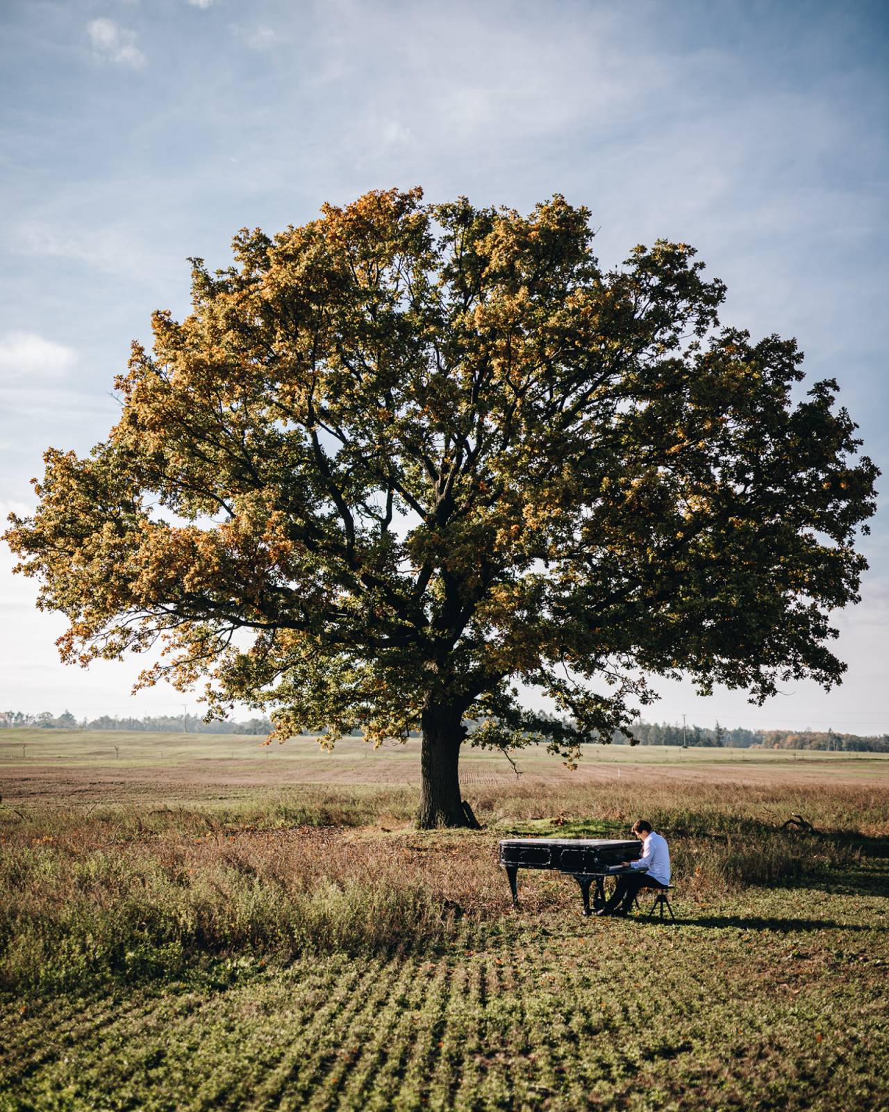 Divným rokem okem fotografů | Vojtěch Mervart nafotil loučení Mandrage, autokoncert Wohnout nebo RFP Home