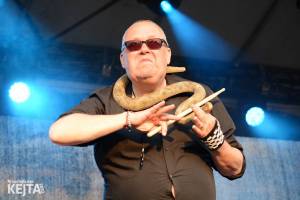 Sto zvířat na Artparkingu v rytmu klaksonů a blinkrů