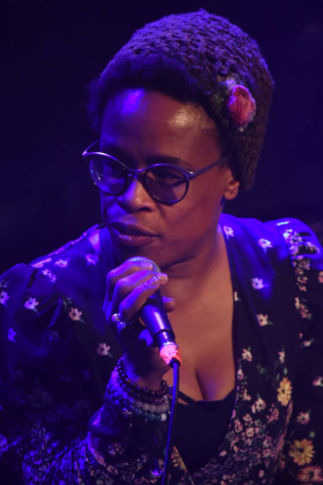 BlueFest sálal energií, zahráli Dan Bárta, Tonya Graves nebo Larkin Poe