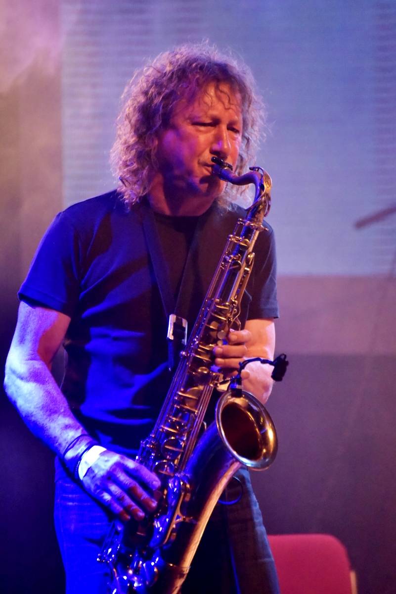 Bluefest objektivem Davida Webra. Festival sledovali fanoušci online