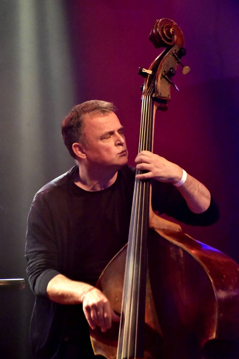 Bluefest objektivem Davida Webra. Festival sledovali fanoušci online