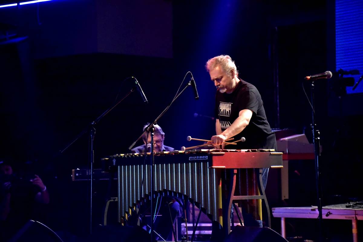 Bluefest objektivem Davida Webra. Festival sledovali fanoušci online