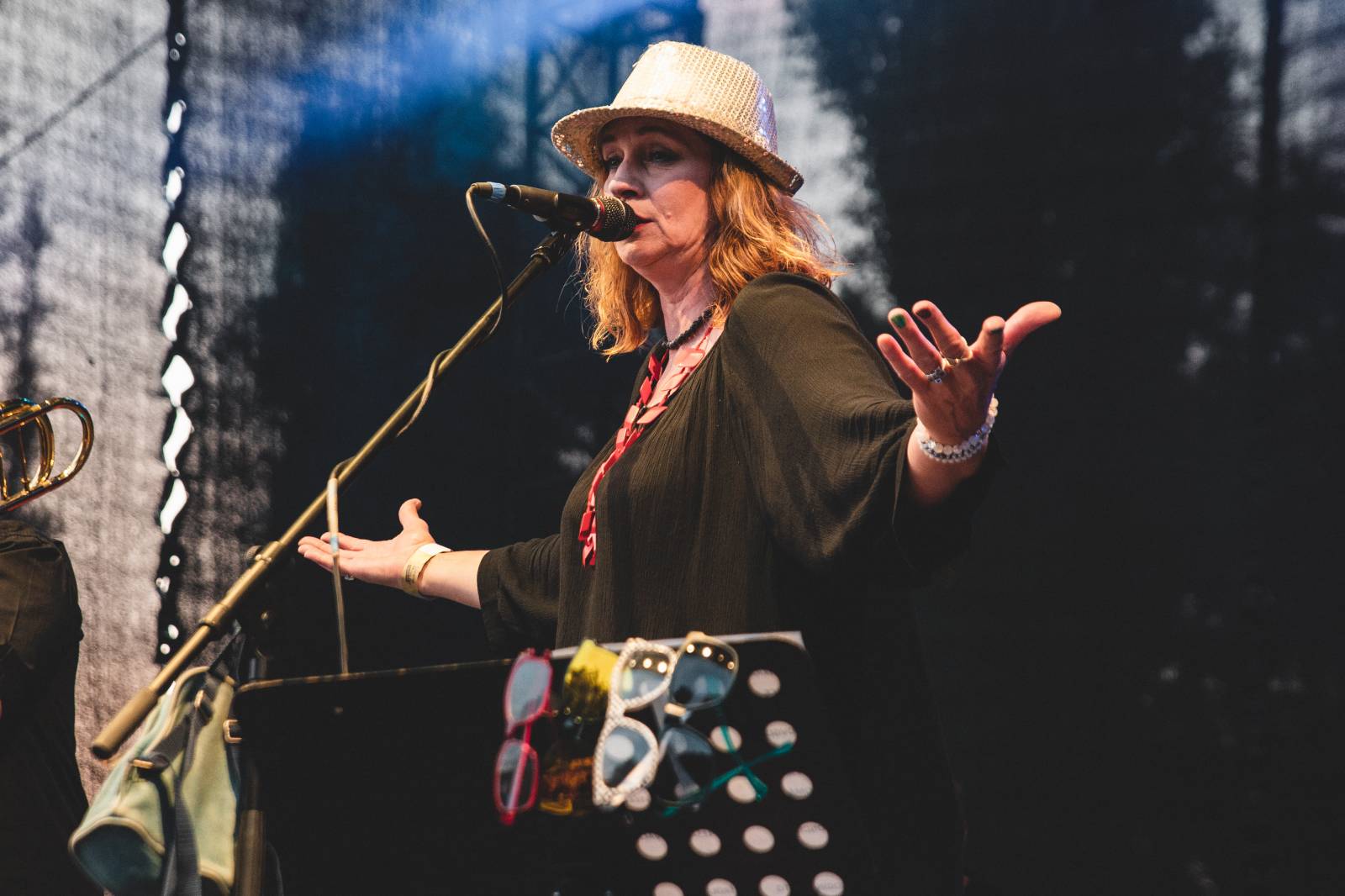 V Ledárnách Braník není o zábavu nouze, tentokrát se o ni postarala kapela Sto zvířat