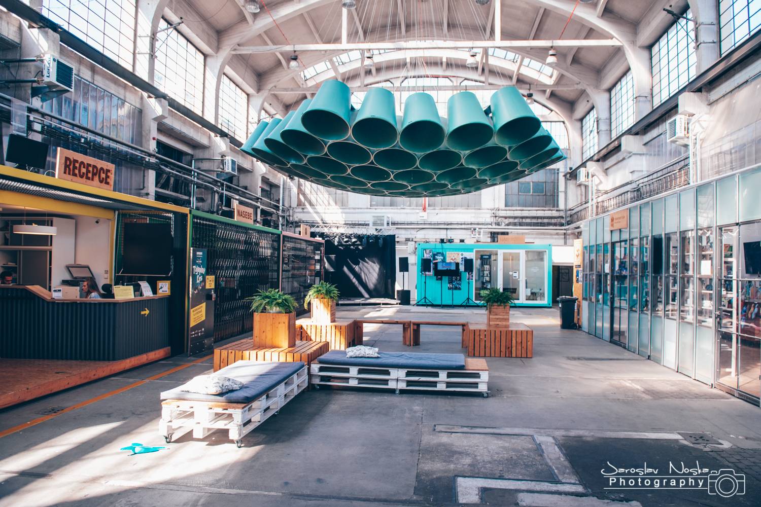 ONLINE: Žebřík vrcholí! Podívejte se s námi do zákulisí akce