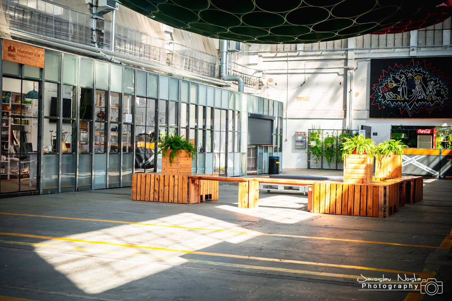 ONLINE: Žebřík vrcholí! Podívejte se s námi do zákulisí akce