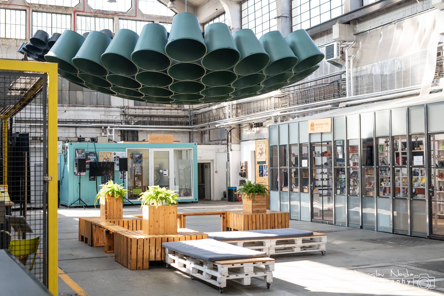 ONLINE: Žebřík vrcholí! Podívejte se s námi do zákulisí akce