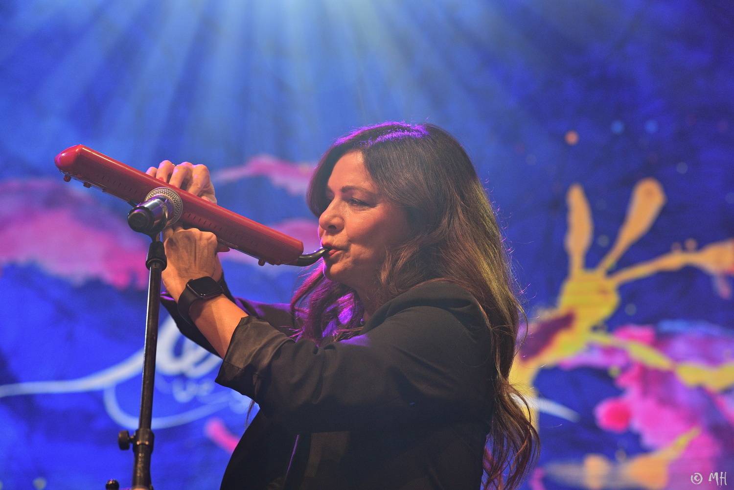 Téměř dvouleté čekání skončilo. Na Žebříku vystoupili Marpo s Troublegangem, Anna K nebo John Wolfhooker