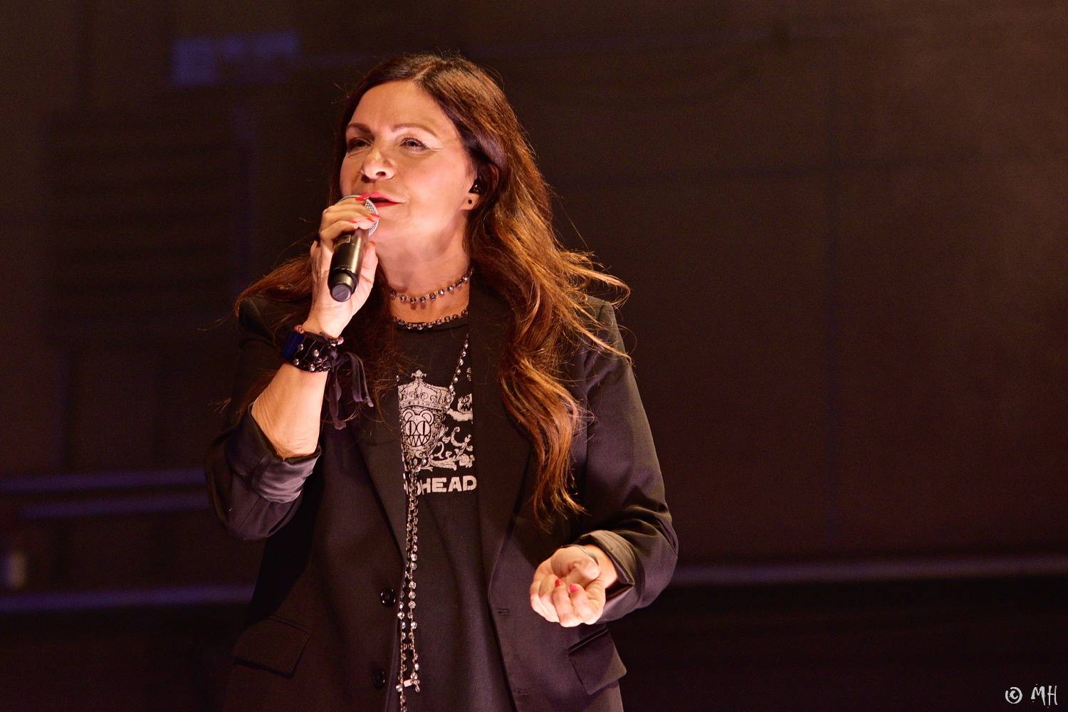 Téměř dvouleté čekání skončilo. Na Žebříku vystoupili Marpo s Troublegangem, Anna K nebo John Wolfhooker