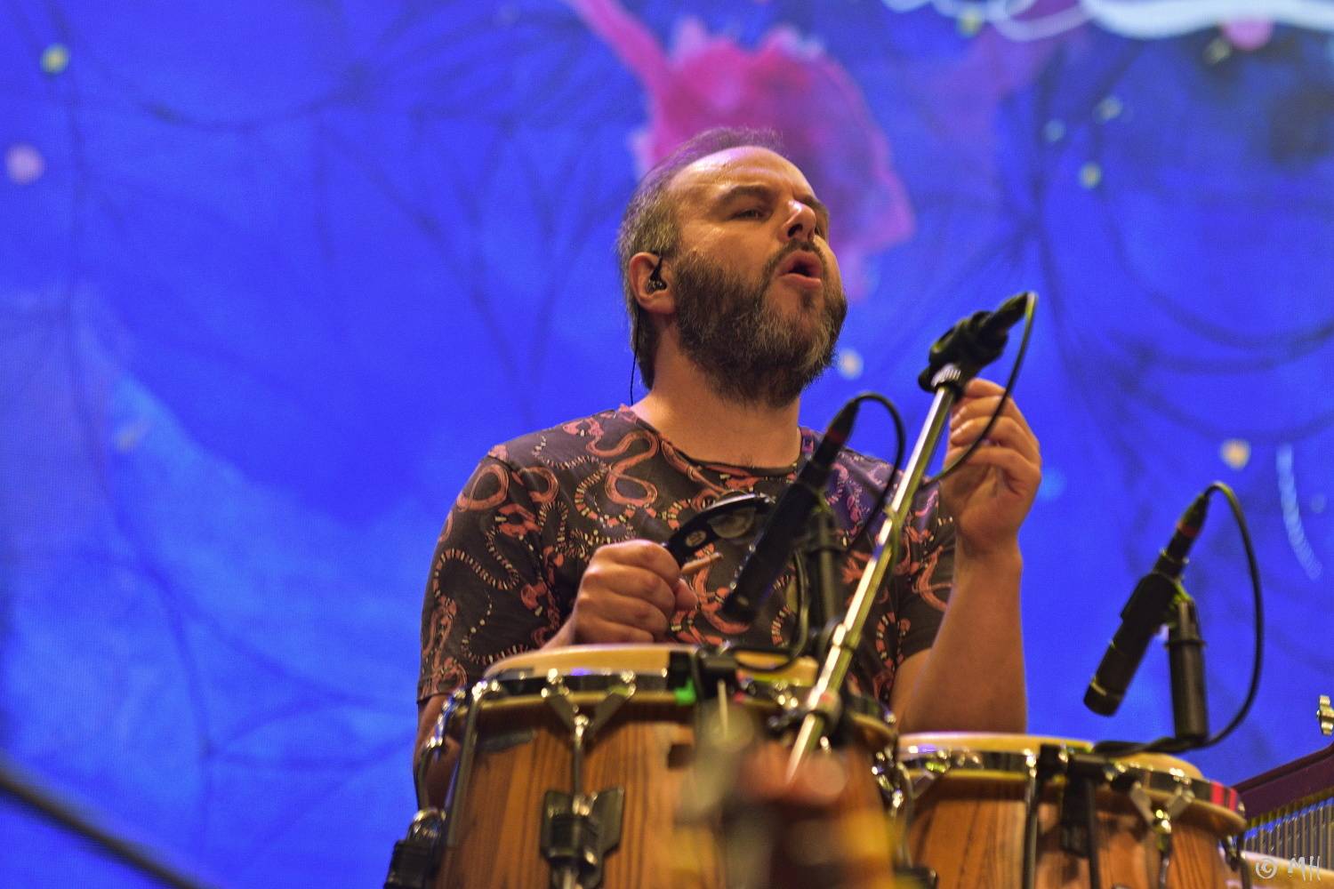 Téměř dvouleté čekání skončilo. Na Žebříku vystoupili Marpo s Troublegangem, Anna K nebo John Wolfhooker