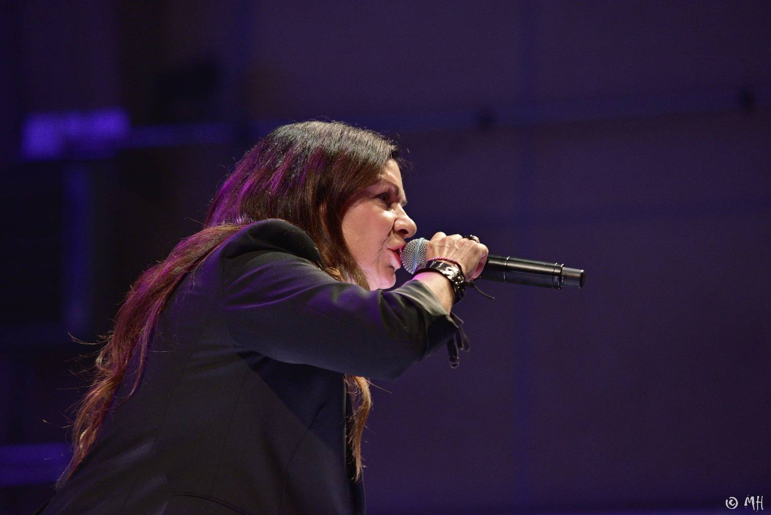 Téměř dvouleté čekání skončilo. Na Žebříku vystoupili Marpo s Troublegangem, Anna K nebo John Wolfhooker