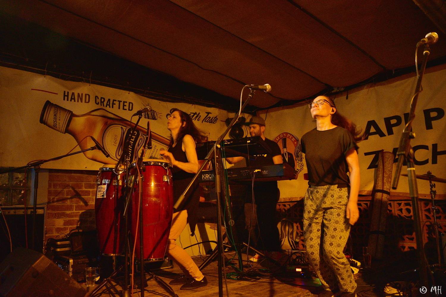 Švihadlo se svým reggae roztančilo Zach's Pub
