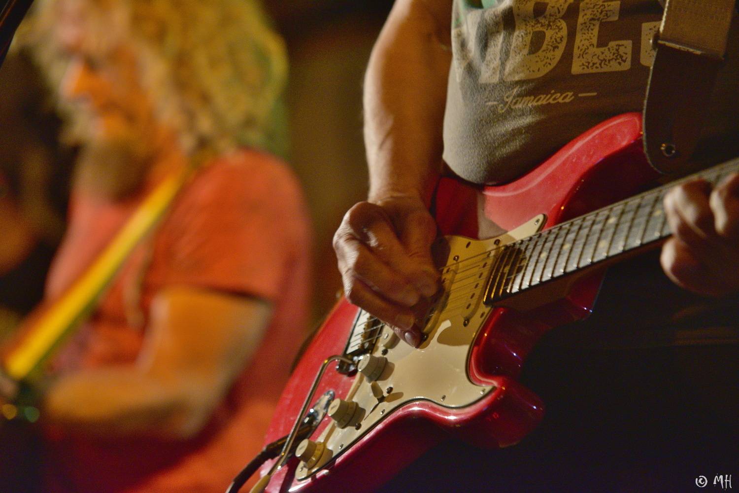 Švihadlo se svým reggae roztančilo Zach's Pub